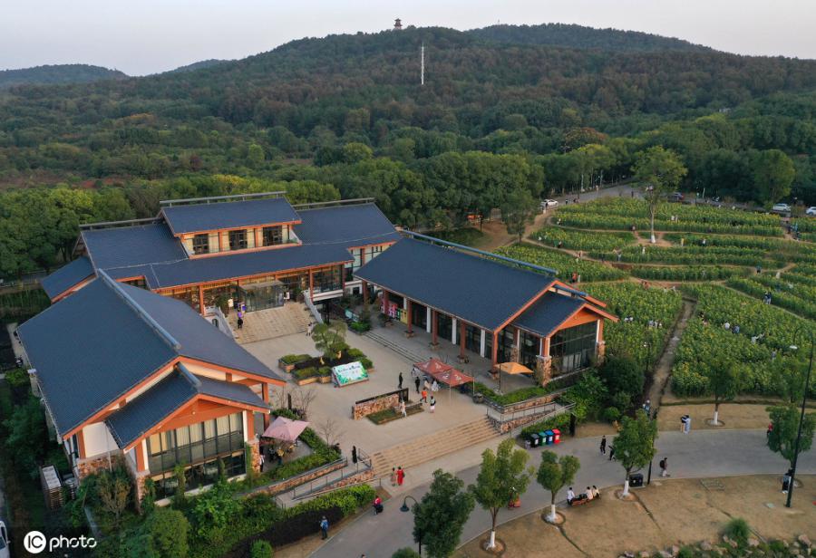 ネット人気スポットとなった武漢初の「森林書店」　湖北省