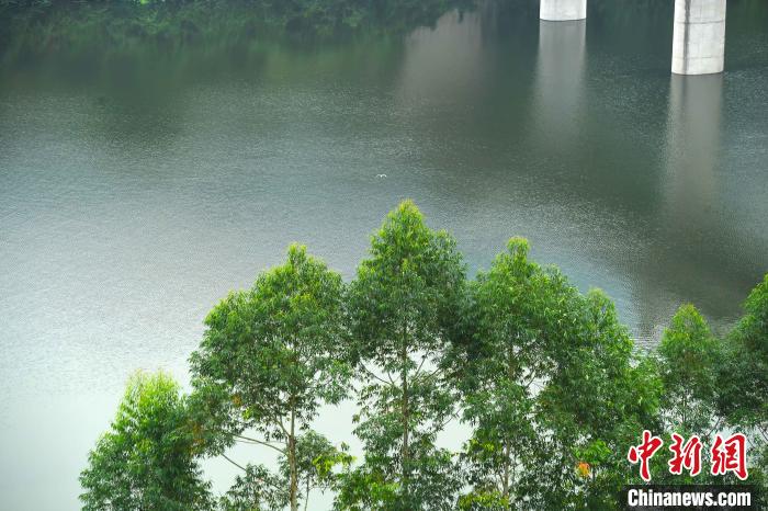 豊かな水をたたえる三峡ダム　重慶市