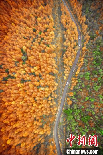 ロマンチックな紅葉シーズン到来　秋色に染まる四川省曽家山