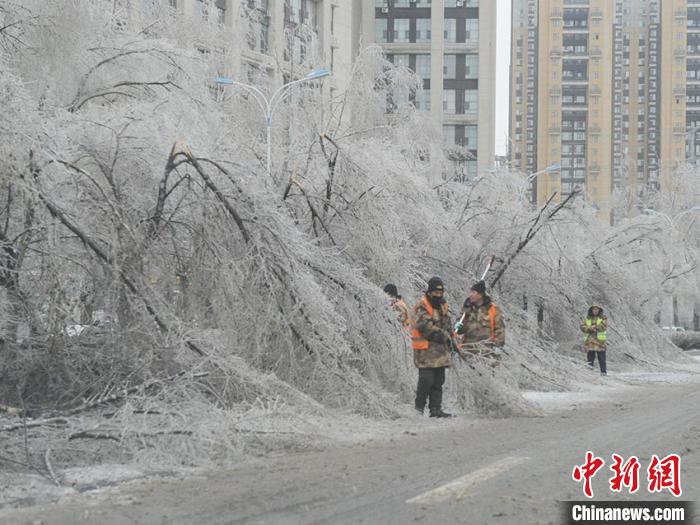 深刻な凍雨被害で長春の街路樹などに2億元以上の被害　吉林省