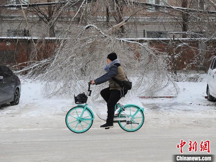 深刻な凍雨被害で長春の街路樹などに2億元以上の被害　吉林省