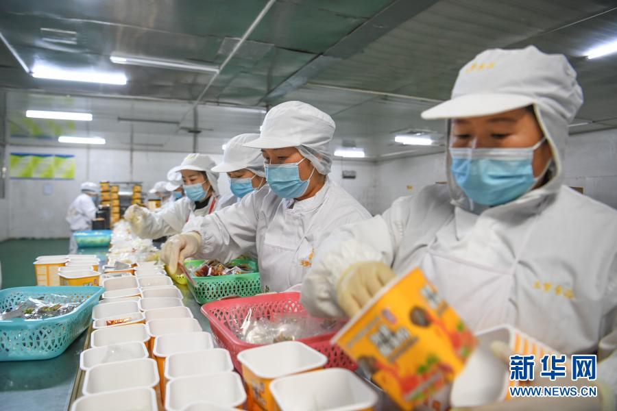革新的な発展で地元住民の雇用と増収を促す食品メーカー　貴州省麻江