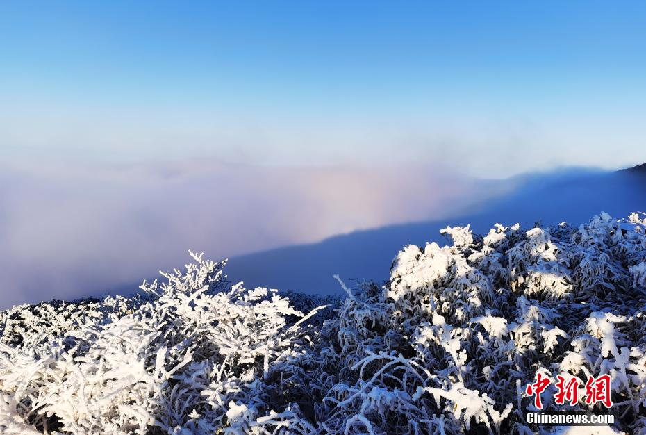 沸き起こる雲海が広がる世界自然遺産「梵浄山」　貴州省