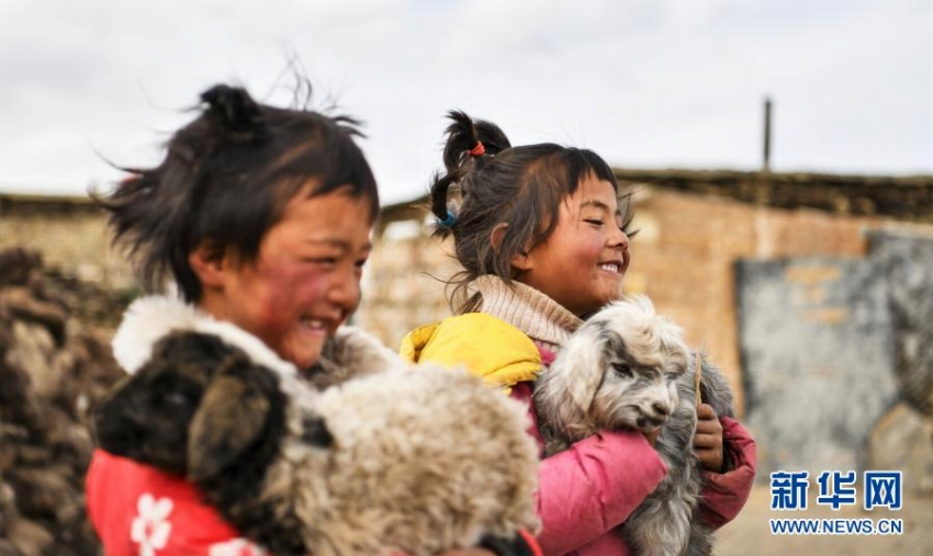中国で最も標高が高い場所にある郷　牧畜民の生産生活環境が大幅に改善