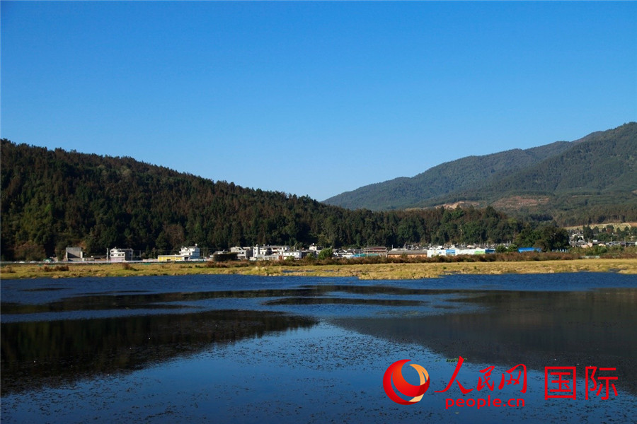 不思議な「水上の草原」風景が広がる北海湿地保護区　雲南省