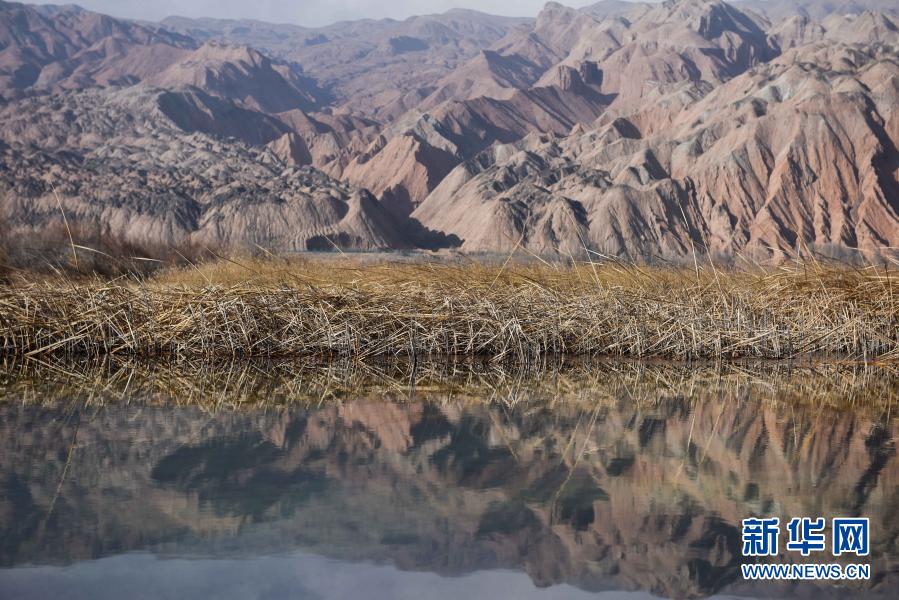 絵に描いたような冬の景色広がる千姿湖湿地公園　青海省