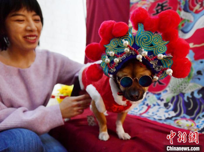 新年控え、ペット写真撮影という新たなニーズ高まる　吉林省長春