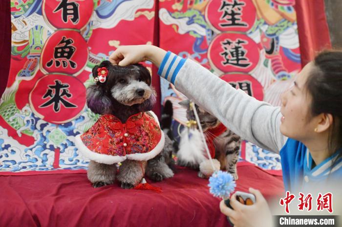 新年控え、ペット写真撮影という新たなニーズ高まる　吉林省長春