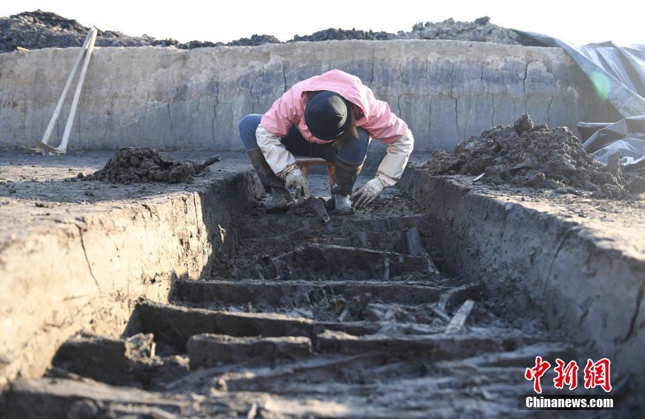 浙江省、世界最古の古代稲田を発見