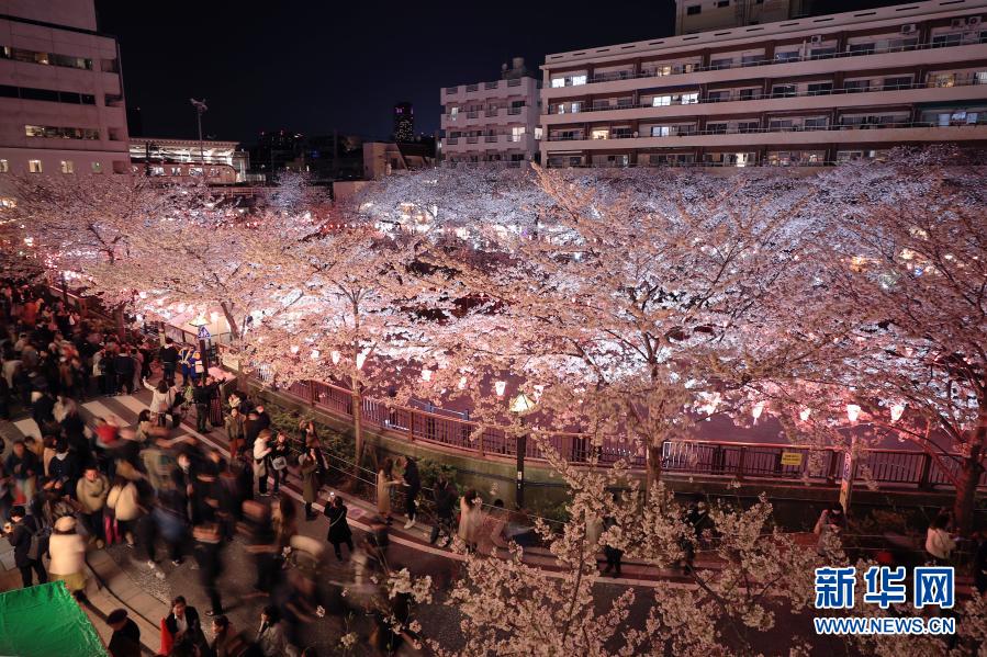 中国人記者が撮影した日本東京の夜景