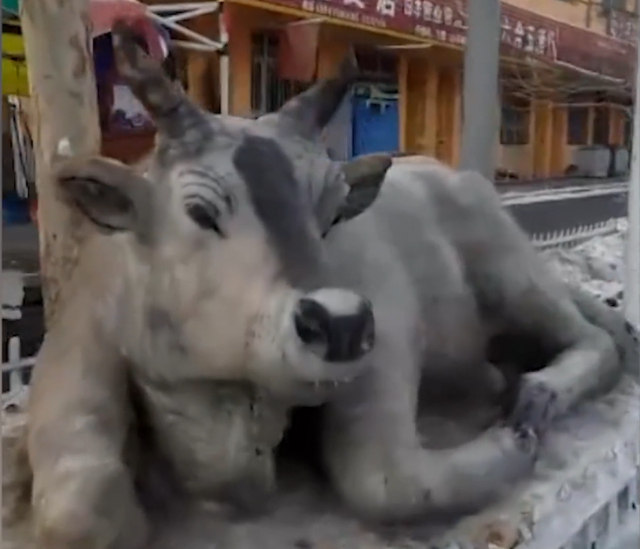 雪で作ったリアルな牛に「本物の牛を凍らせたんじゃ？」の声　新疆