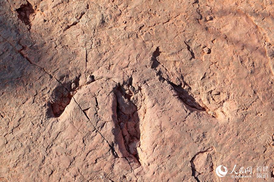 福建省で初となる恐竜の活動記録発見　足跡240個以上