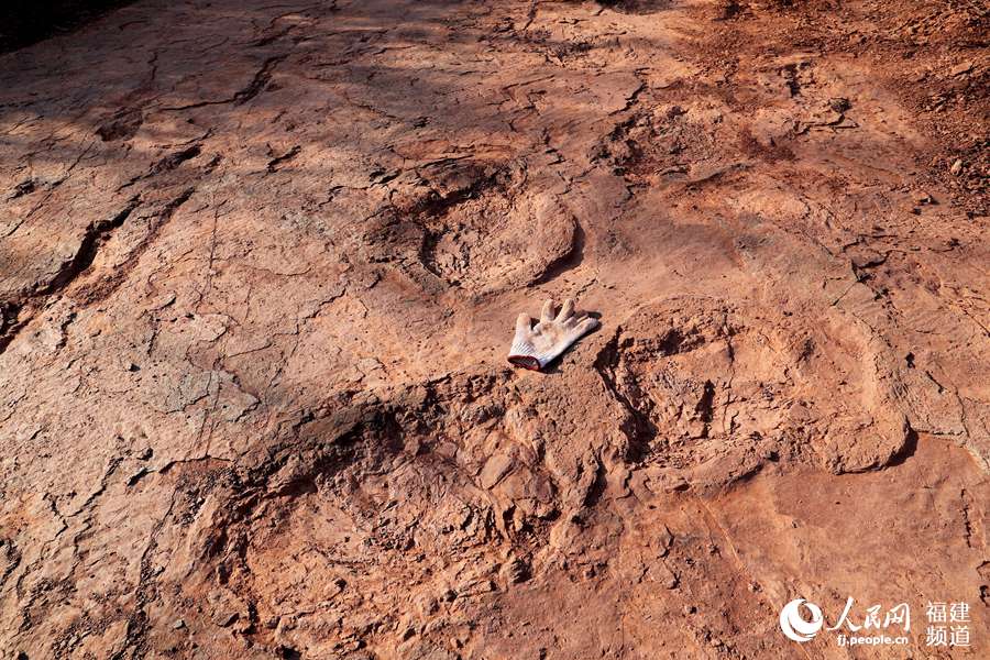 福建省で初となる恐竜の活動記録発見　足跡240個以上