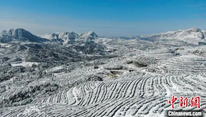 まるで「アナと雪の女王」のような景色広がる雪に包まれた茶畑　貴州省