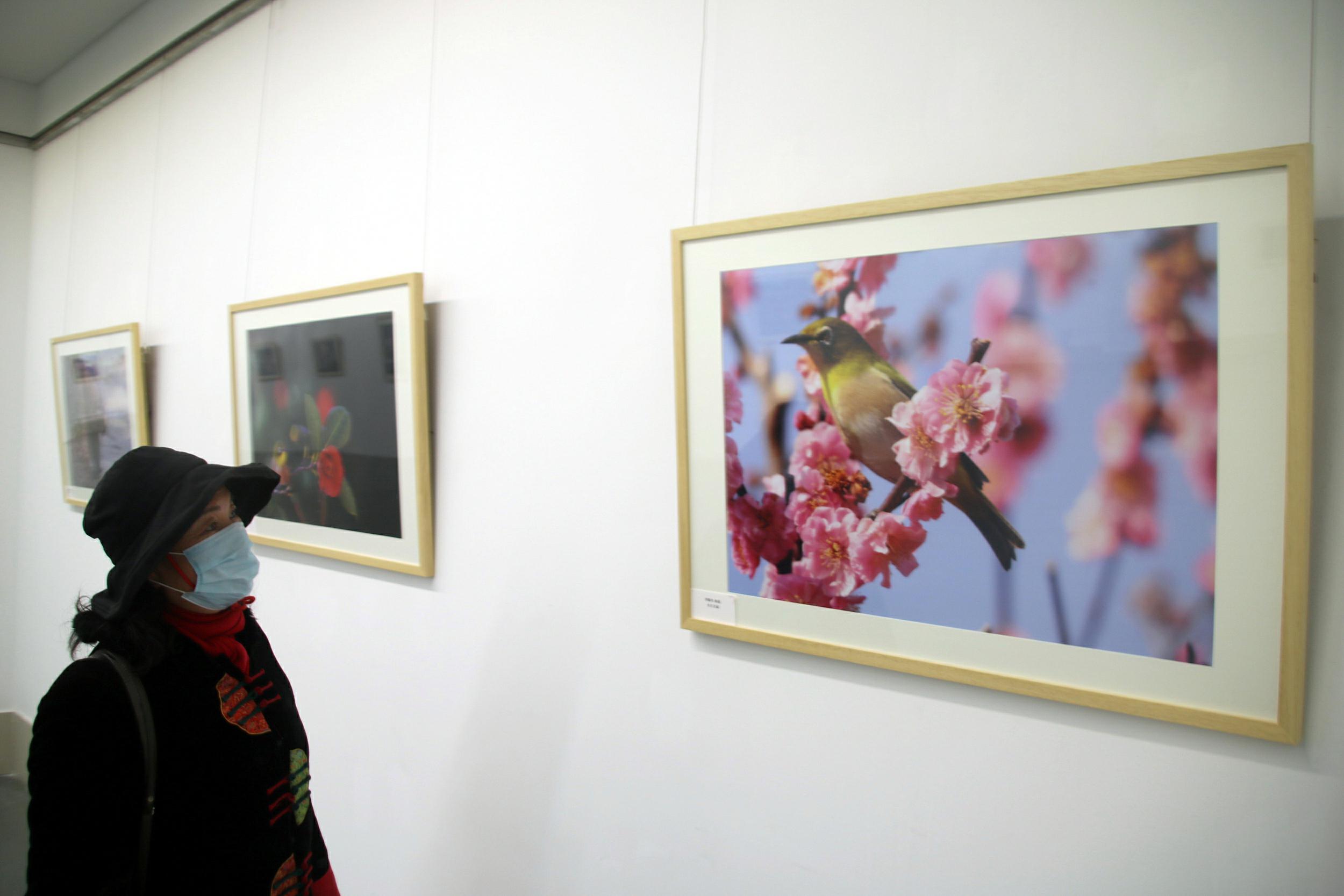1月24日、蘇州美術館で「日本池田市写真展」を鑑賞する来場者（写真著作権はCFP視覚中国が所有のため転載禁止）。