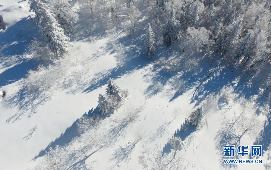 雪郷国家森林公園の美しい冬景色　黒竜江省