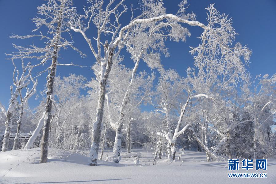 雪郷国家森林公園の美しい冬景色　黒竜江省