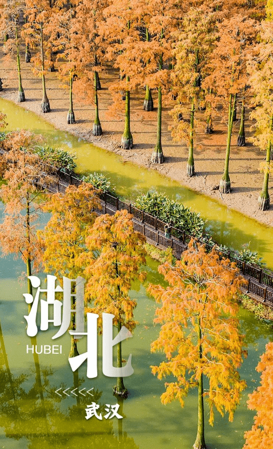 2月2日は「世界湿地の日」　中国の湿地を訪ねて