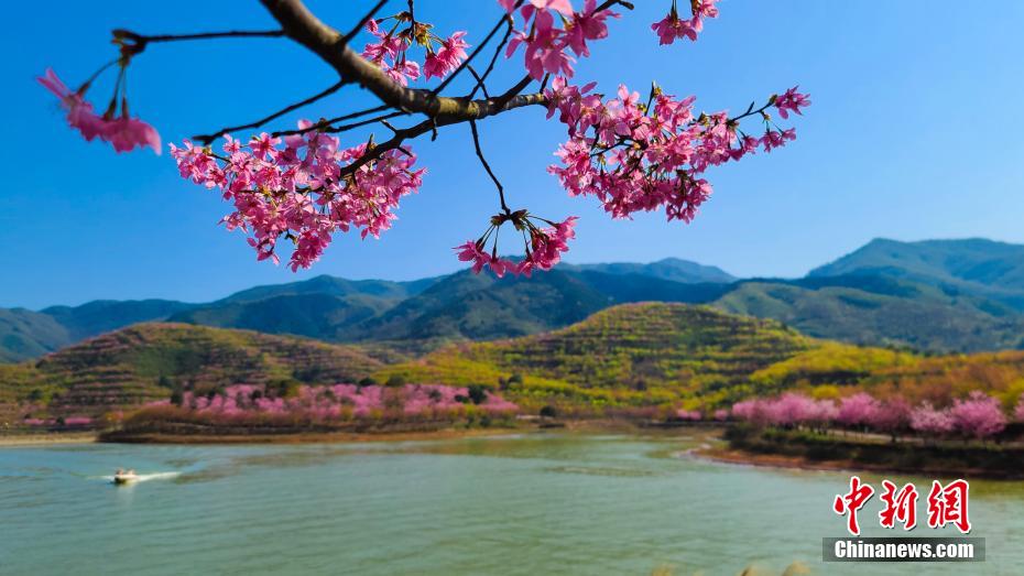 人々を酔わせる春の暖かさと美しい花々　湖南省常寧