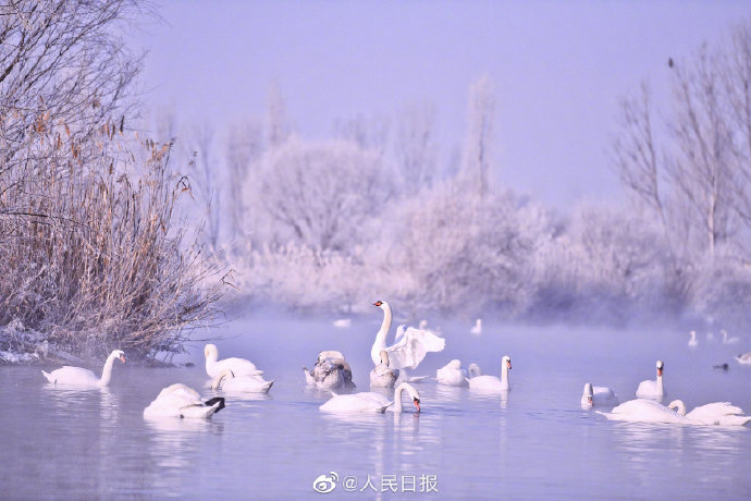 まるで童話の世界のように美しい「白鳥の湖」　新疆