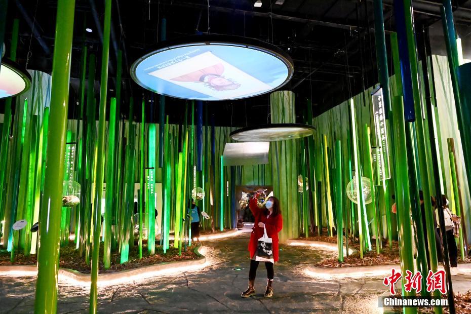 パンダをテーマにした世界初インタラクティブタイプの博物館オープン　四川省