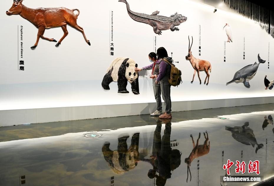 パンダをテーマにした世界初インタラクティブタイプの博物館オープン　四川省