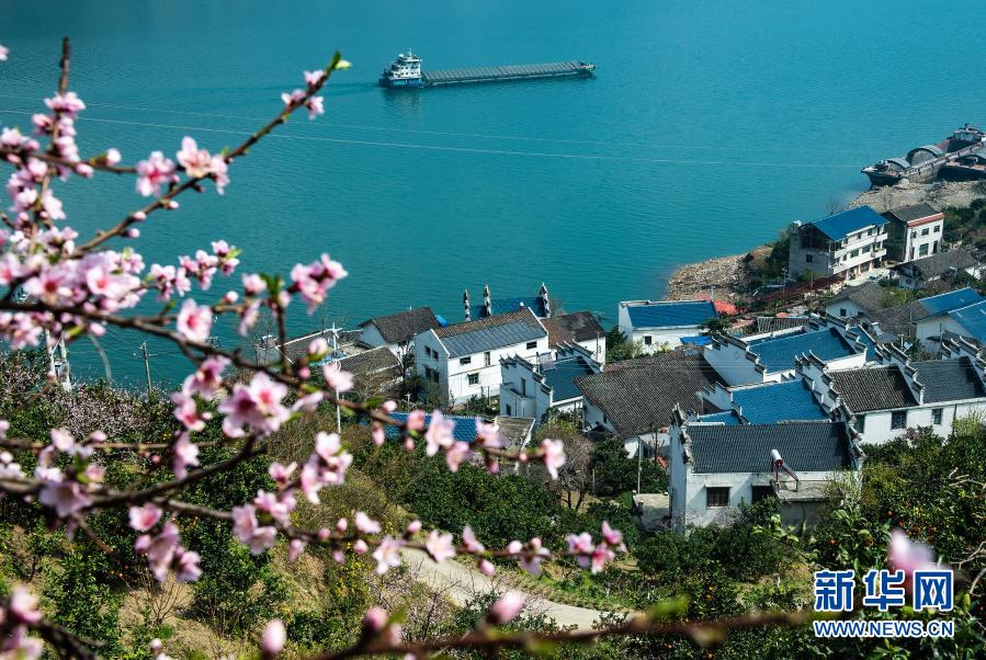 3月3日、湖北省宜昌市秭帰県域内の長江三峡を航行する船舶（撮影・鄭家裕）。