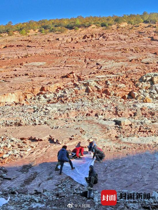 「中国最大の恐竜の足跡地が四川涼山に存在」古生物学者が確認