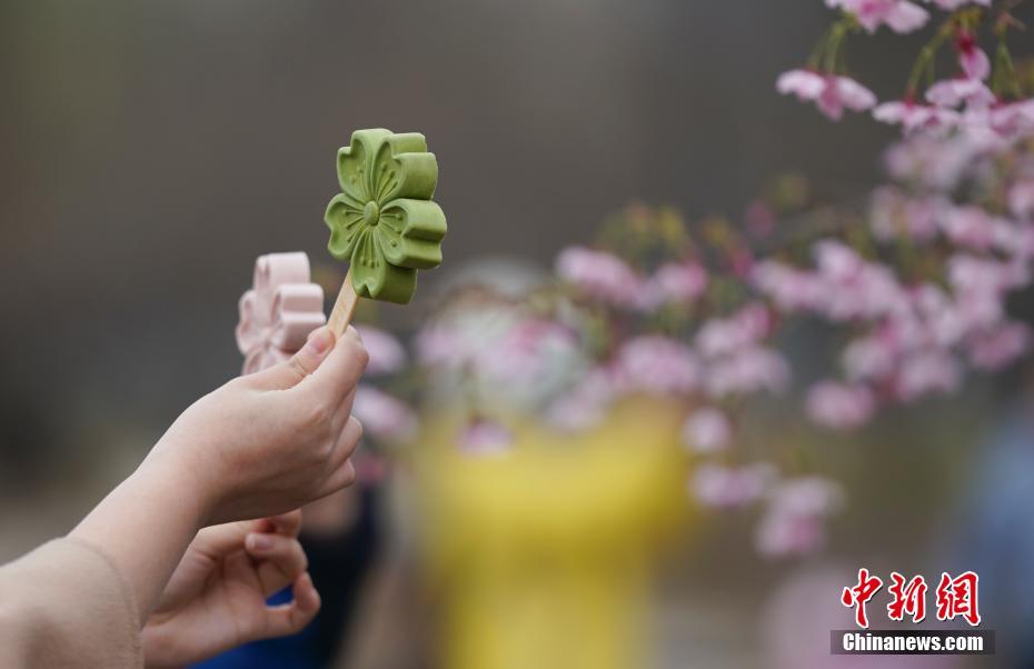北京玉淵潭公園で桜文化イベントスタート