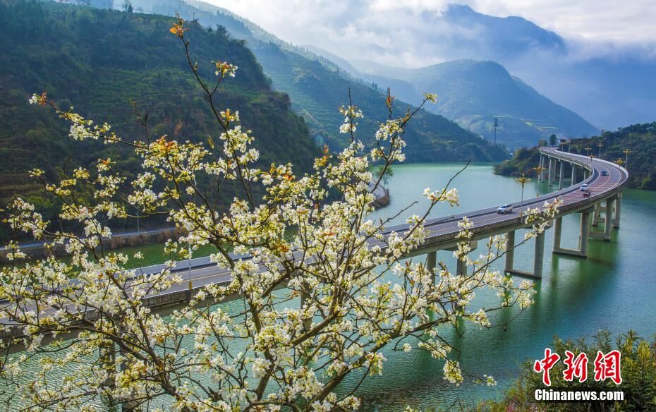 三峡「水上生態道路」の魅惑溢れる春景色　湖北省宣昌