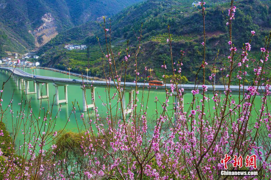 三峡「水上生態道路」の魅惑溢れる春景色　湖北省宣昌