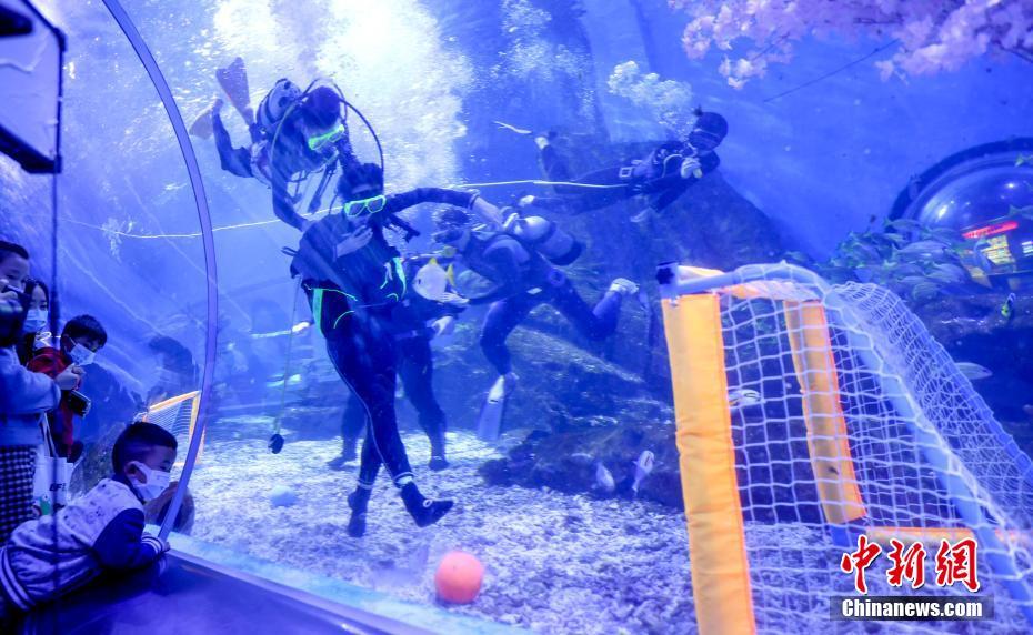 水中サッカーに水中自転車レース！遊園地で「海底運動会」開催　湖北省武漢