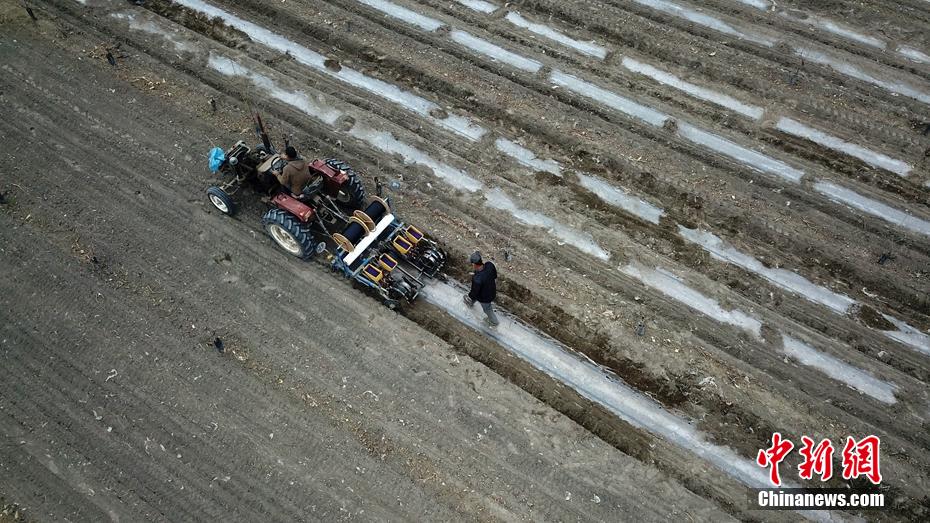 3月27日、新疆維吾爾（ウイグル）自治区巴州輪台県野雲溝郷野雲溝村で、綿花の種まきを行う綿花農家（撮影・確・胡熱）。