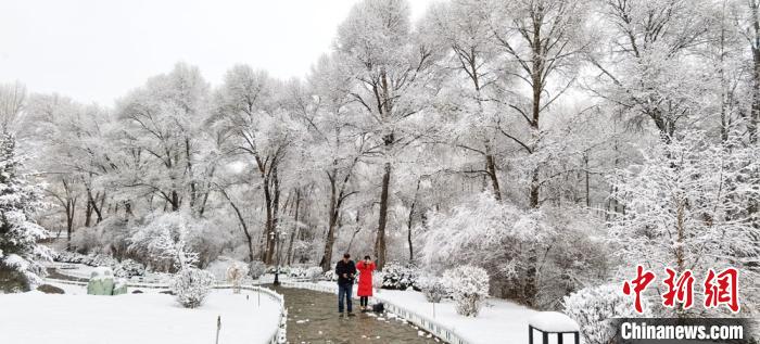 甘粛省粛南に春の雪　風情溢れるユグル族自治県の雪景色