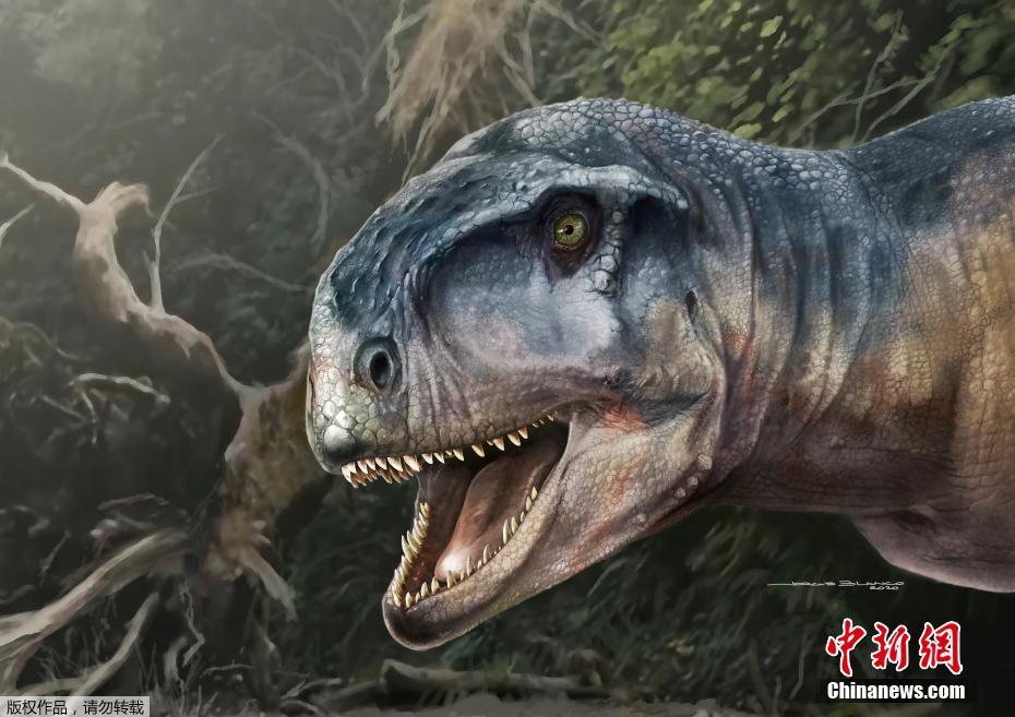 8千万年前の恐竜の生体復元図　絶滅前に進化を試みた形跡あり