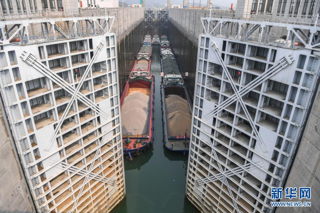 広西大藤峡水利ターミナルの水上輸送における効率と利益が大幅アップ