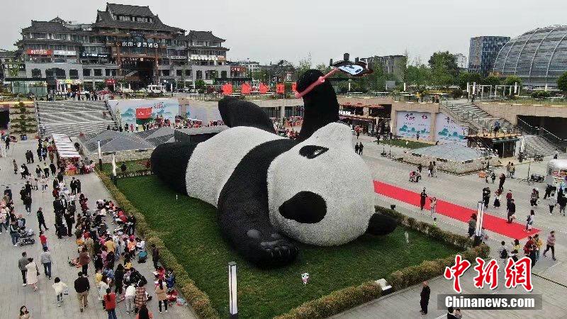 重さ130トン！「自撮りするパンダ」のオブジェが登場　四川省都江堰
