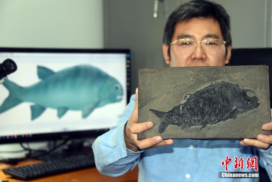 中国の科学者、2億4400万年前の「盤州暴魚」を発見