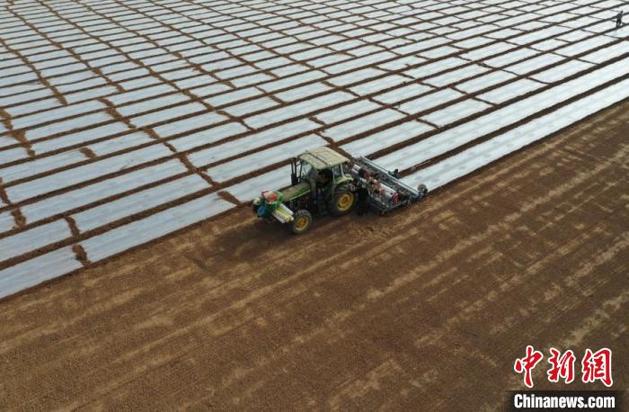 完全な機械化で種まき進める新疆ウイグル自治区の広大な綿花畑