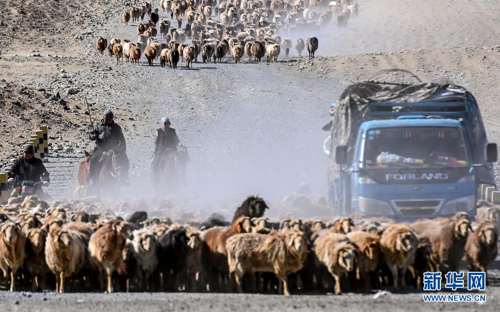 4月16日、春秋シーズンの牧場に向かって出発する新疆維吾爾（ウイグル）自治区阿勒泰（アルタイ）地区福海（ブルルトカイ）県の牧畜民。自動車とオートバイが馬と並走する。（撮影・馬鍇）。