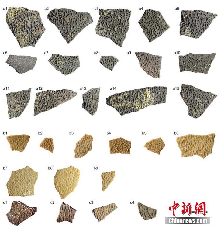 中国科学院、約8000万年前の恐竜の卵殻を発見