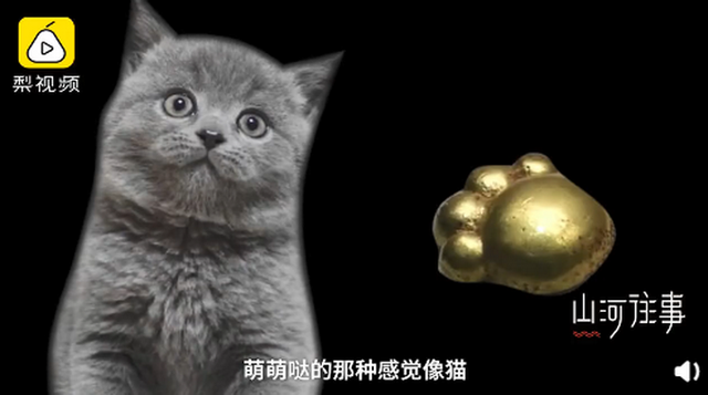 キュートな出土品？ネコ足型の金の装飾品発見　山西省