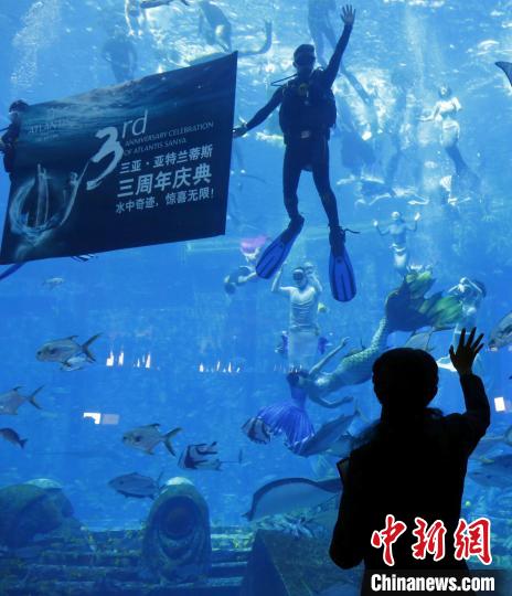 「最大規模のマーメイドショー」がギネス世界記録に認定　海南省三亜