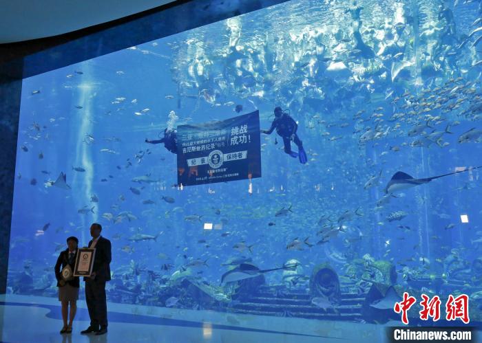 「最大規模のマーメイドショー」がギネス世界記録に認定　海南省三亜
