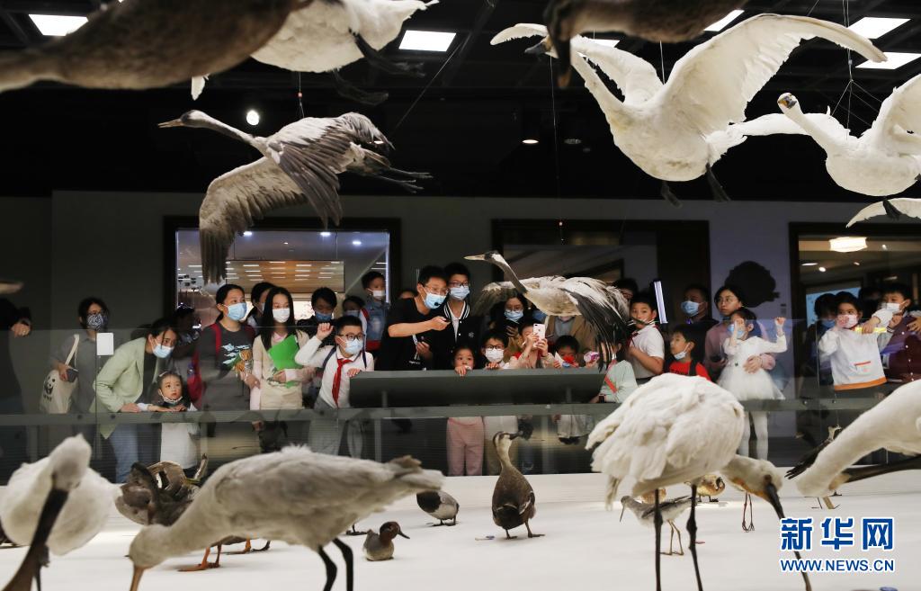 2021年上海自然博物館ナイトミュージアムイベントがスタート