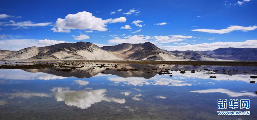 チベット定結の湿地、鏡のように静かな水面