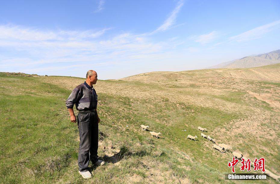甘粛省のトレイルランニング大会事故で参加者6人を助けた羊飼い