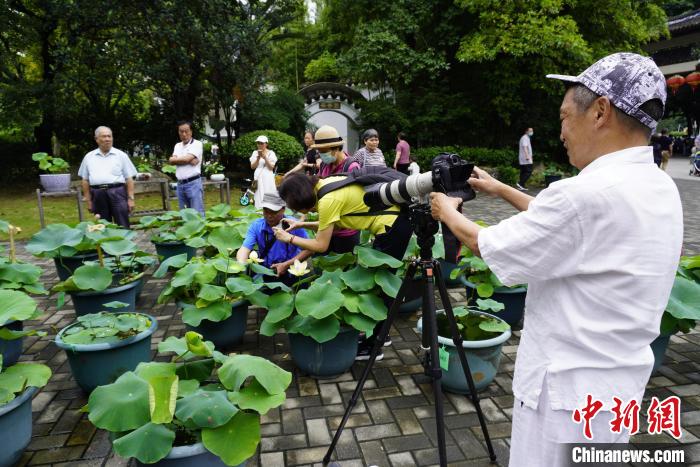 第1回蓮の花文化フェスティバルが開催　福建省福州