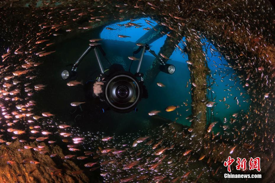 水中カメラマンがとらえた鮮やかな海底の世界　海南省三亜