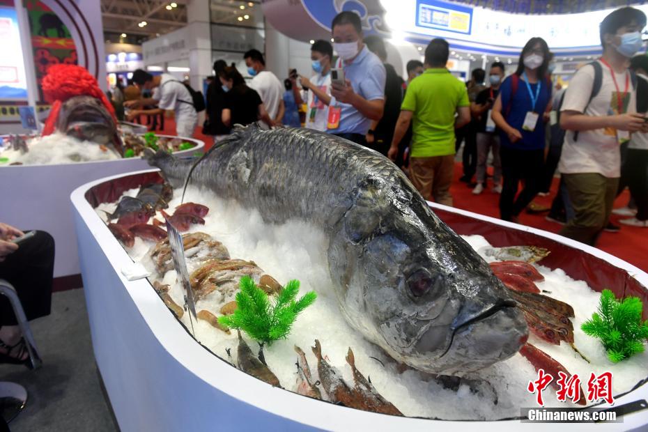 世界最大級のつみれ団子登場！福州国際「漁博会」開幕